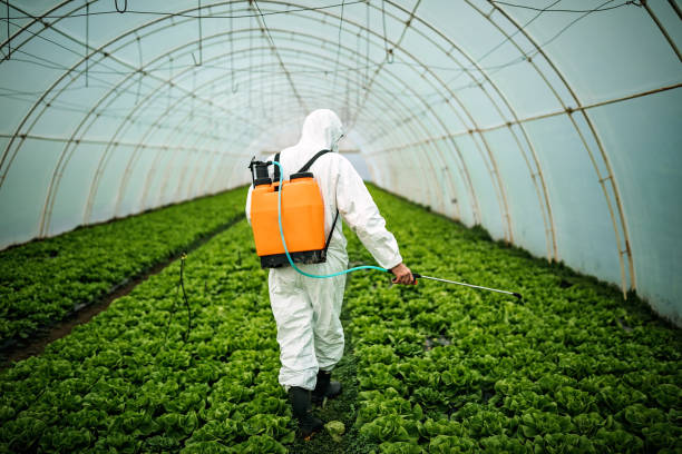 Pest Control for Restaurants in Tatamy, PA