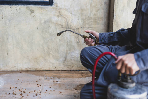 Best Commercial Pest Control Services  in Tatamy, PA