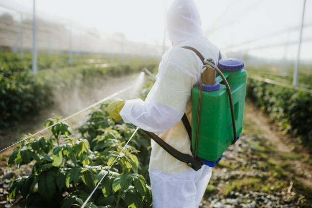 Insect Control in Tatamy, PA
